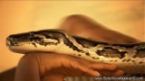 Người đẹp Ấn độ khiêu dâm với rắn